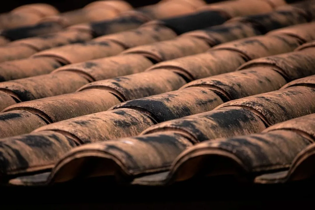 mould on a concrete tile roof