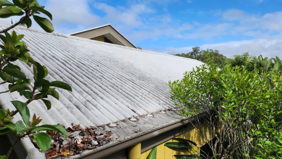 Why Does Mould Keep Coming Back on My Roof?