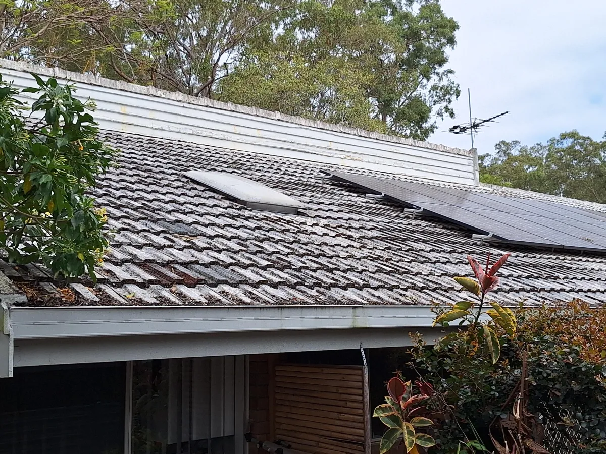 Why Are There White Spots on My Roof?