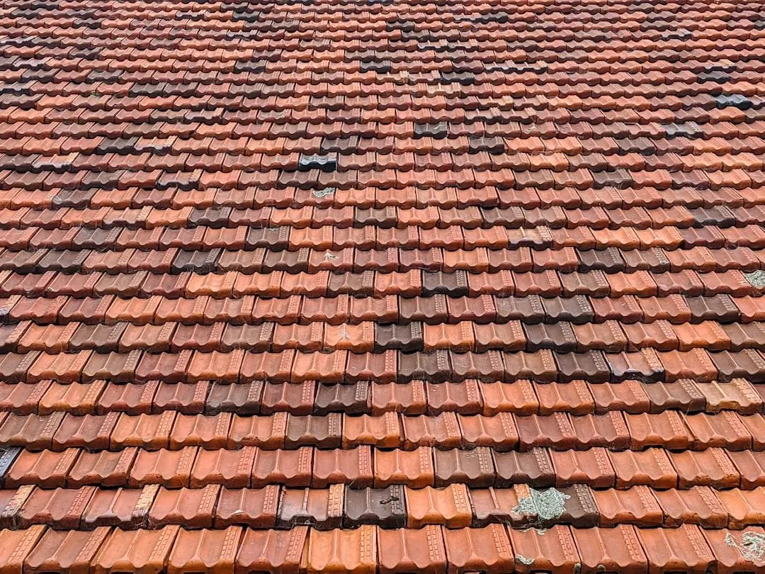Roof Cleaning vs Roof Restoration: What’s the Difference?