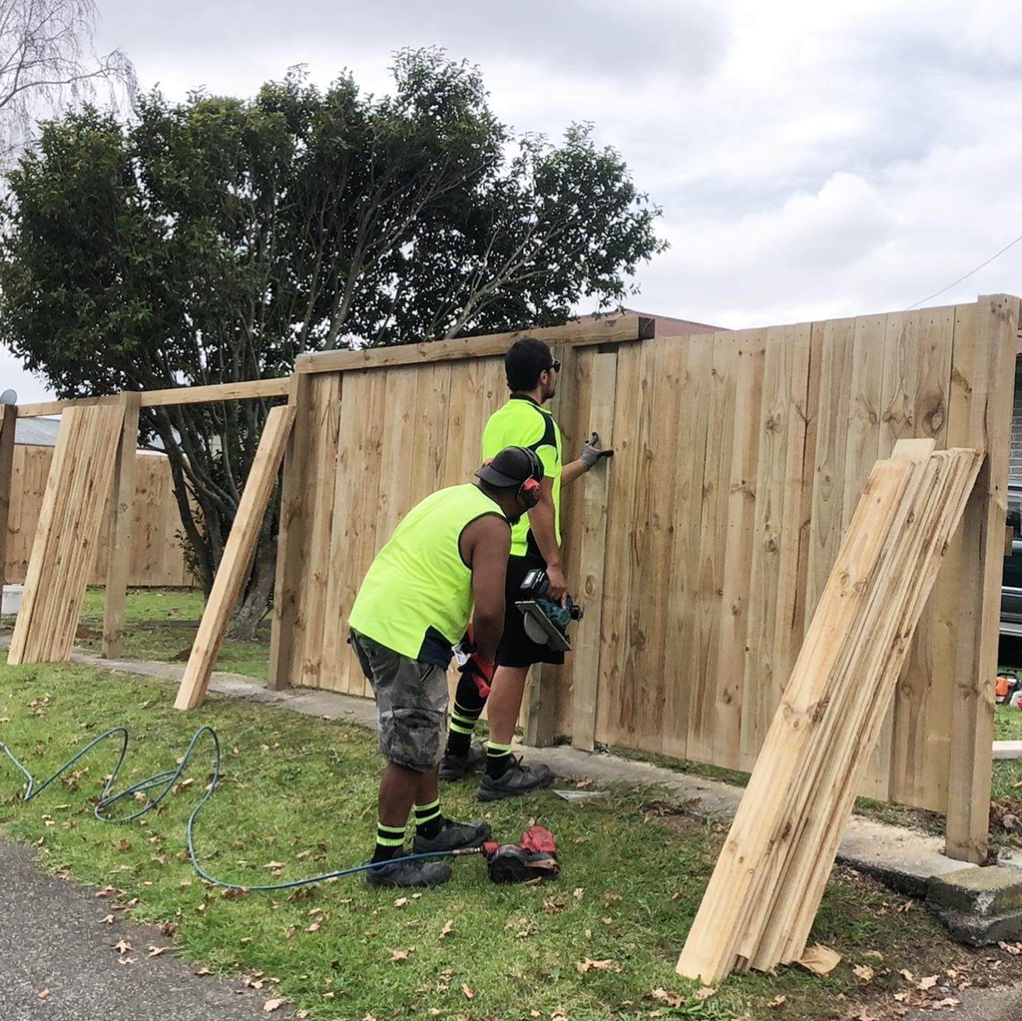 ALL PINE Fencing team installing a new timber fence in Auckland