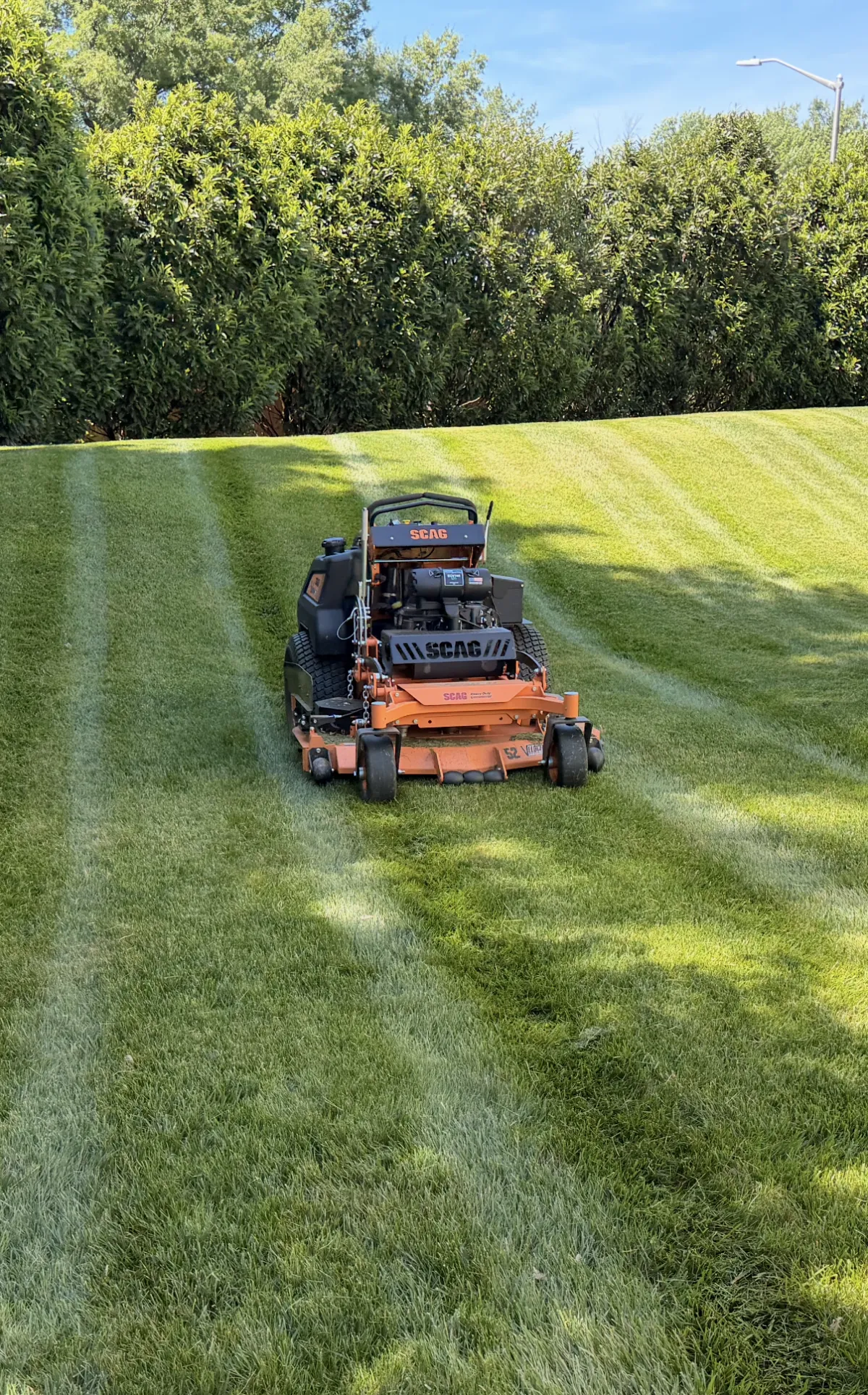Satisfied homeowner admiring their freshly maintained Montgomery County lawn