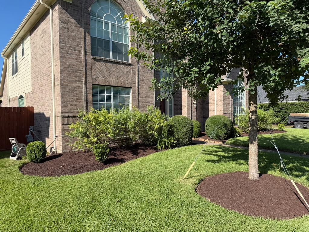 Well-maintained residential landscape with trimmed shrubs, green lawn, and landscaped flower beds