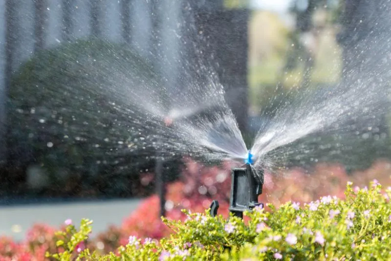 Broken or Misaligned Sprinkler Heads