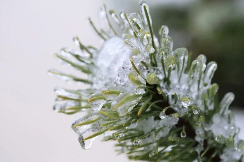 Rain & Freeze Sensor Integration