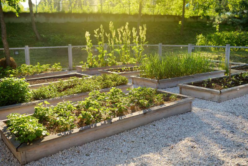Design for Plant Beds & Gardens
