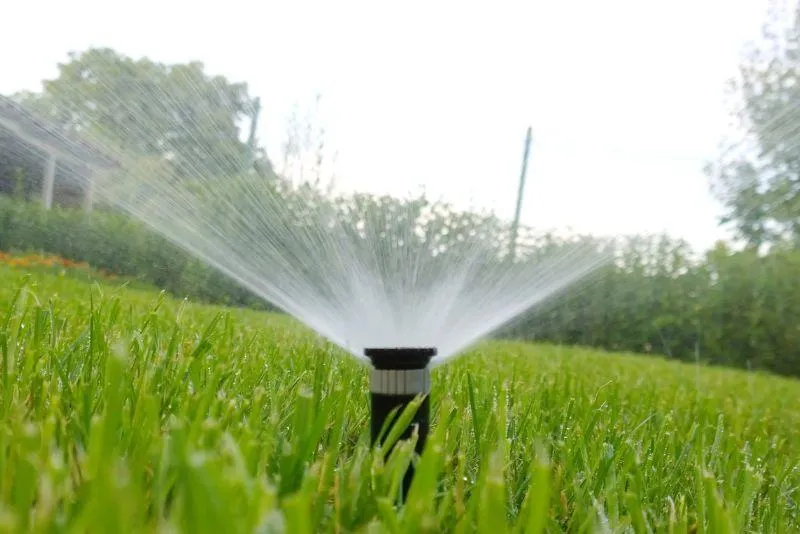 Water-Efficient Solution