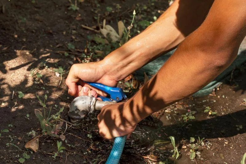 Drip Irrigation Installation & Repair