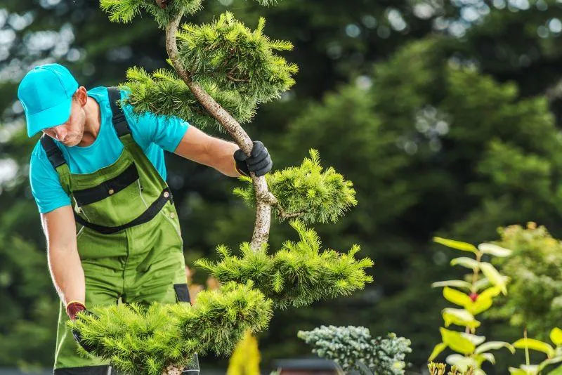Seasonal Inspections