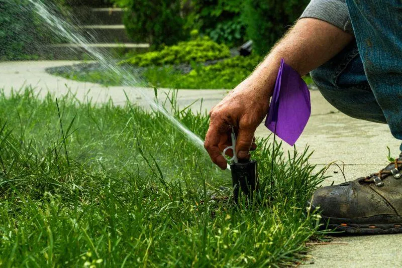 Irrigation System Audit & Tune-Up