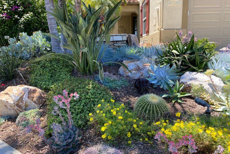 Drought-Tolerant Landscaping Recommendations