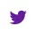 Twitter Icon