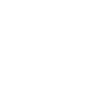 Automated Lead Capture