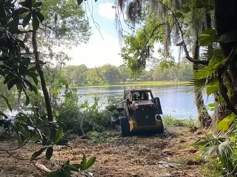 Flood-zone land clearing near waterway by Chalmette Tree Service.
