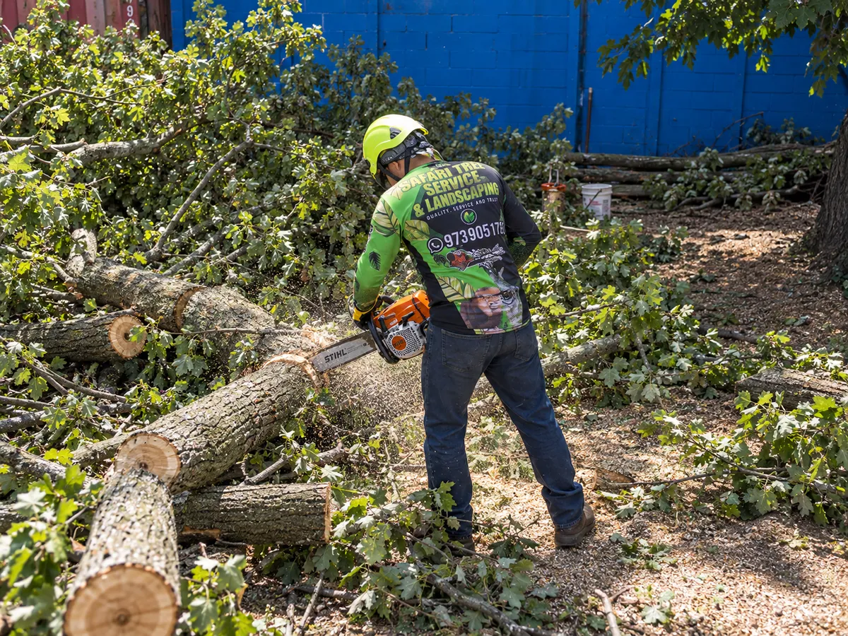 Cutting up a removed tree into logs in Morris County NJ