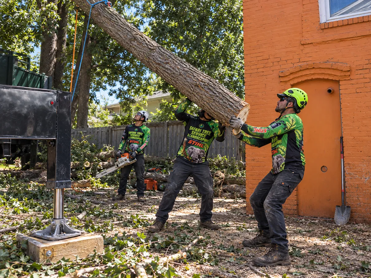 Crew guiding a large tree section during removal in NJ