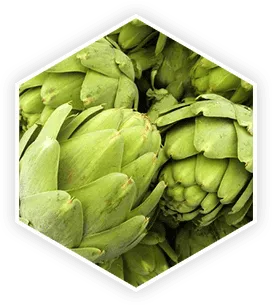 Artichoke Extract