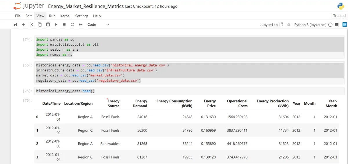 Energy Market Resilience Analysis