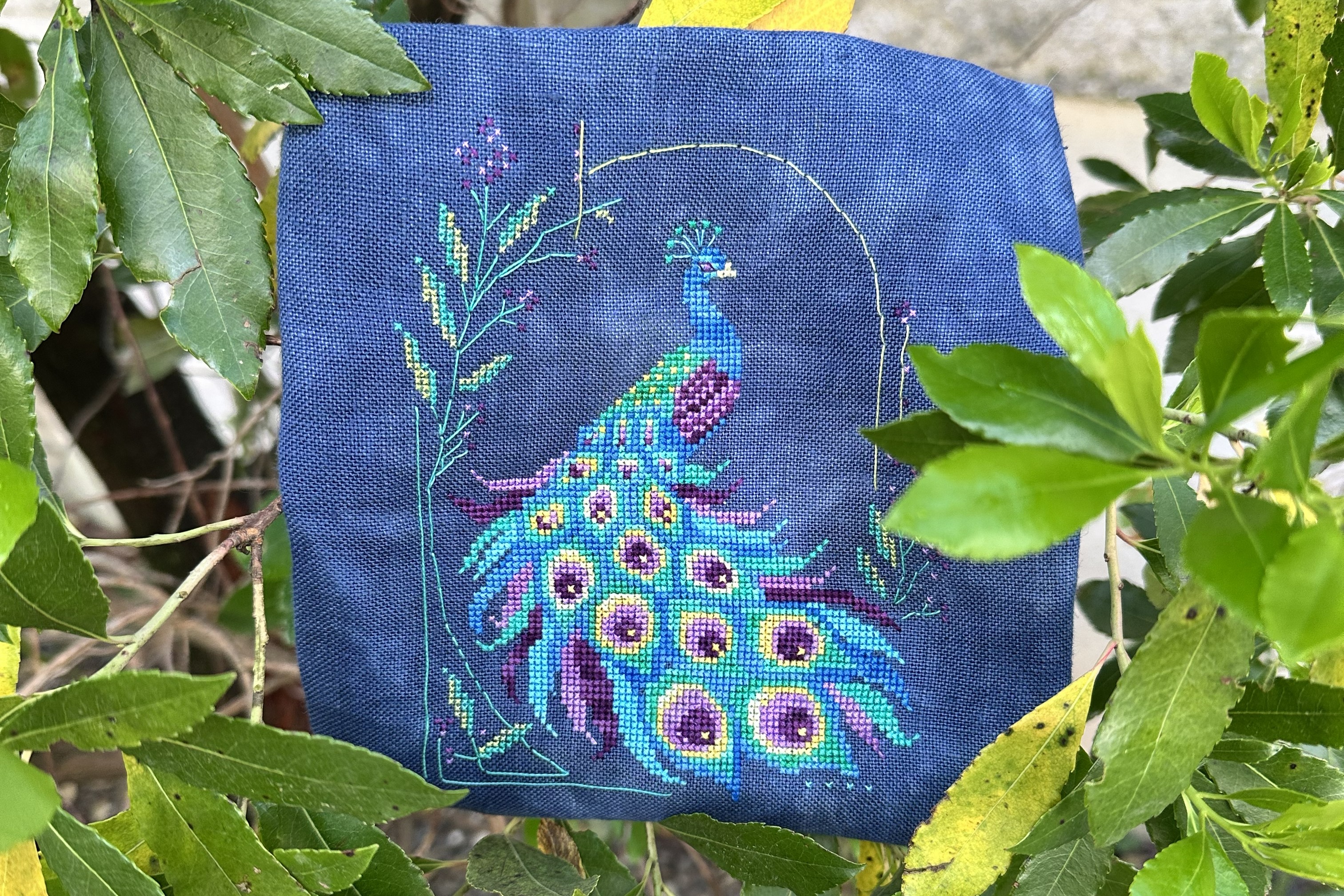 The Peacock: Glamour, Symbolism and Why We Can’t Stop Stitching Them
