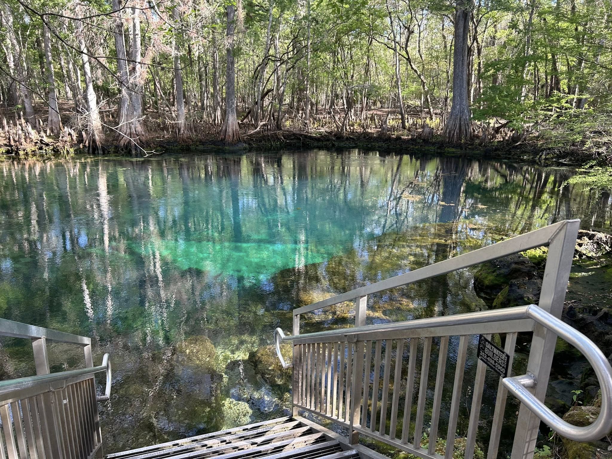 Why I Take the Backroads: A Peaceful Stop at Manatee Springs State Park