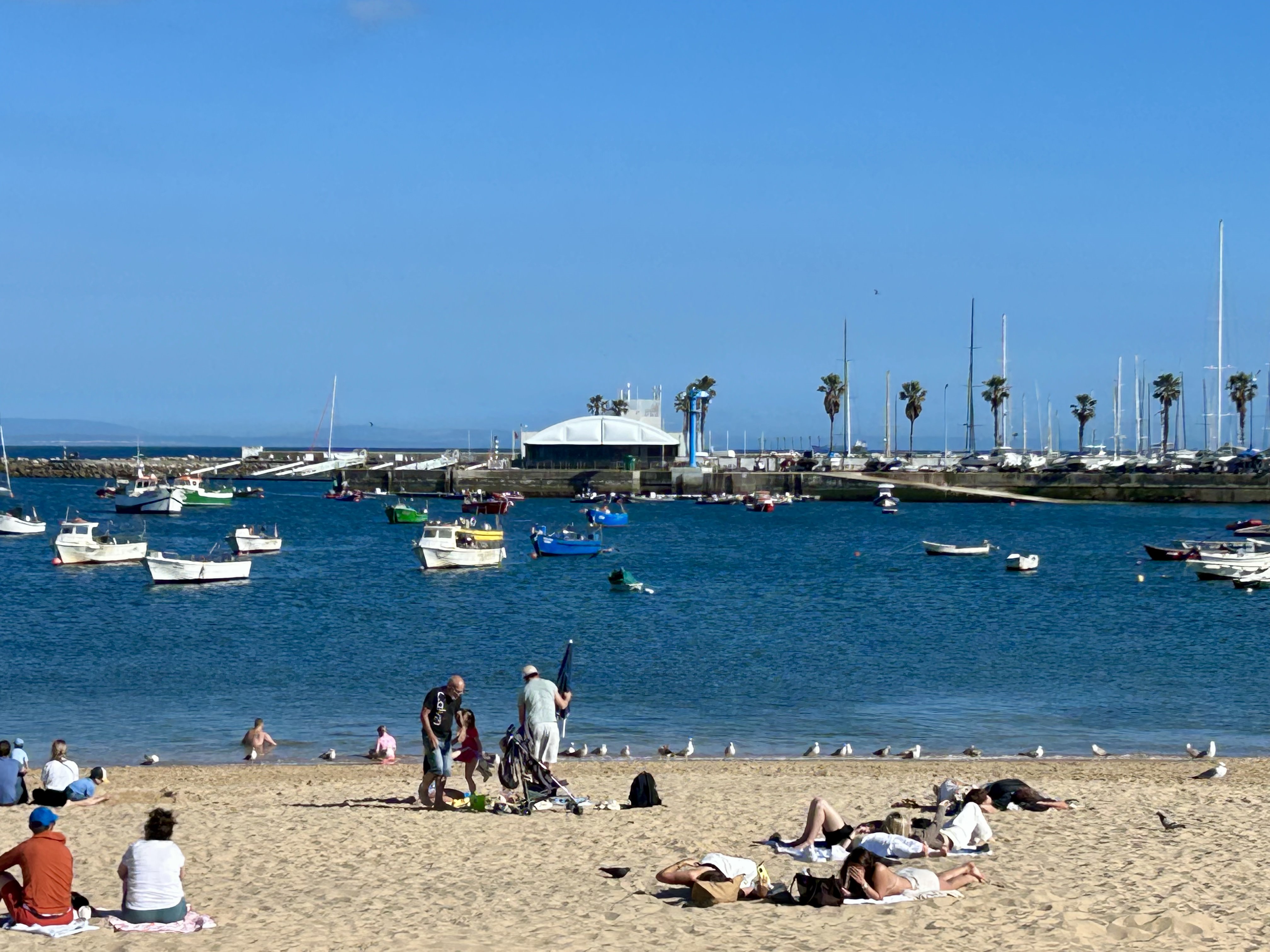 Finding Gratitude by the Sea in Cascais