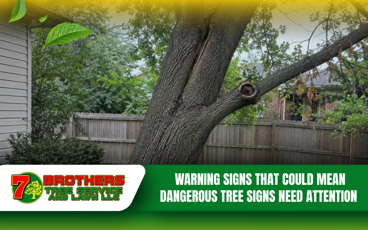 7 Warning Signs That Could Mean Dangerous Tree Signs Need Attention