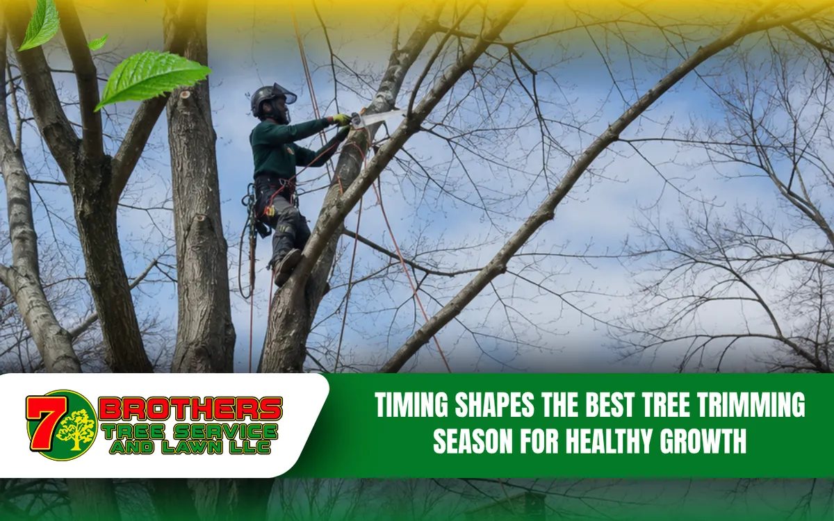 Tree trimming performed during a planned seasonal maintenance period