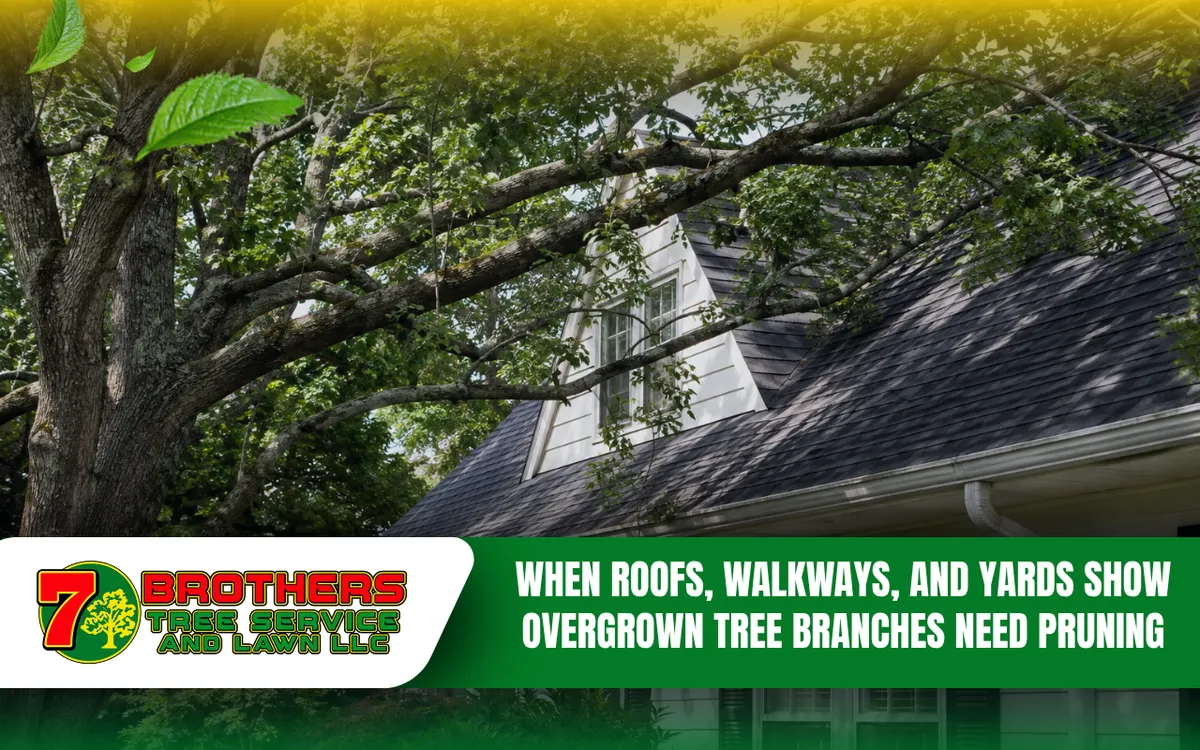 Overgrown tree branches extending close to a residential roof