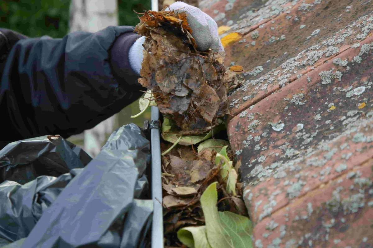 Gutter Cleaning Tacoma