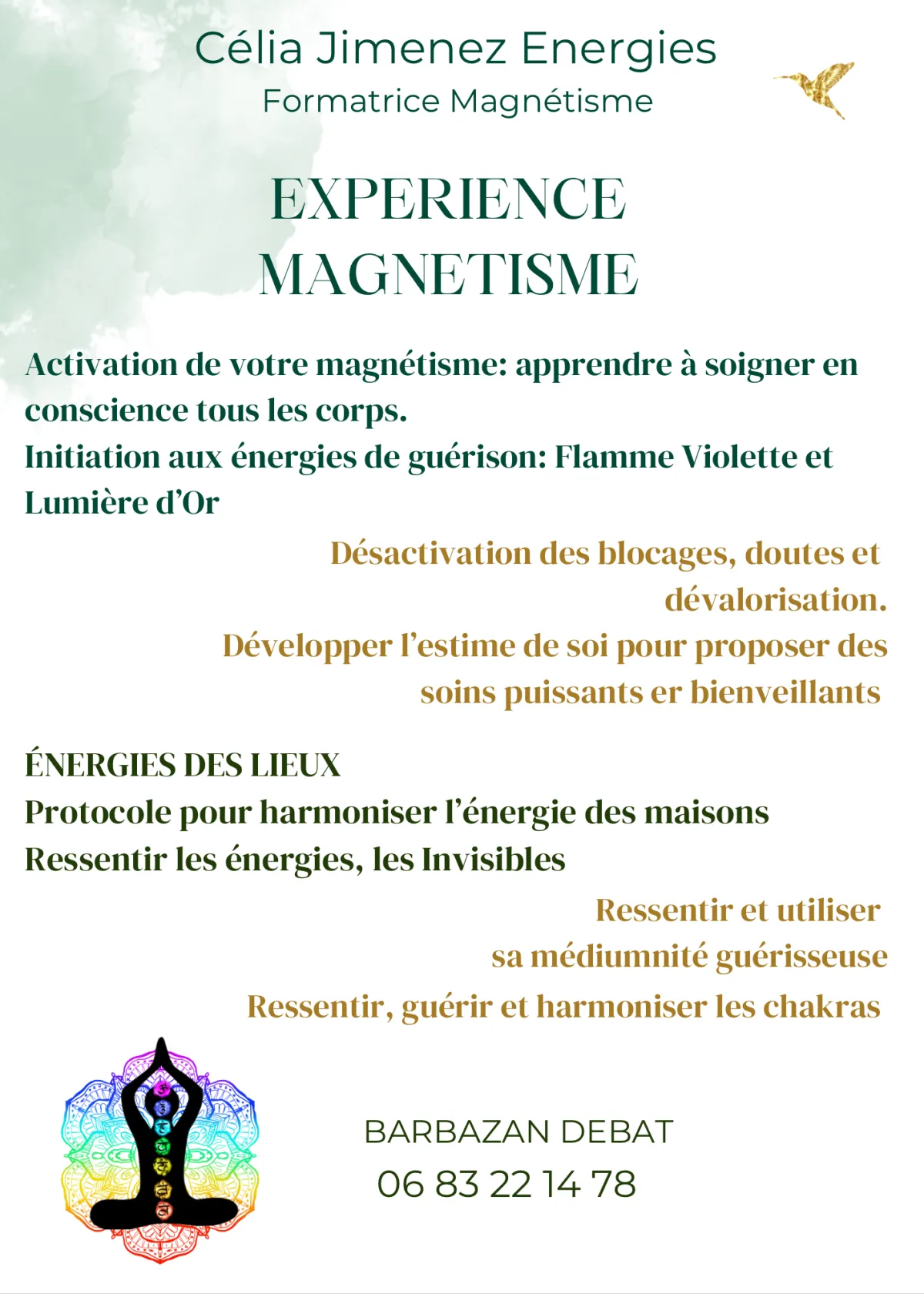 Formation magnetiseur