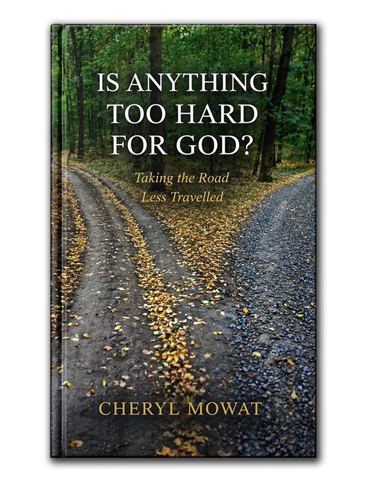 Book: Is Anything Too Hard For God?