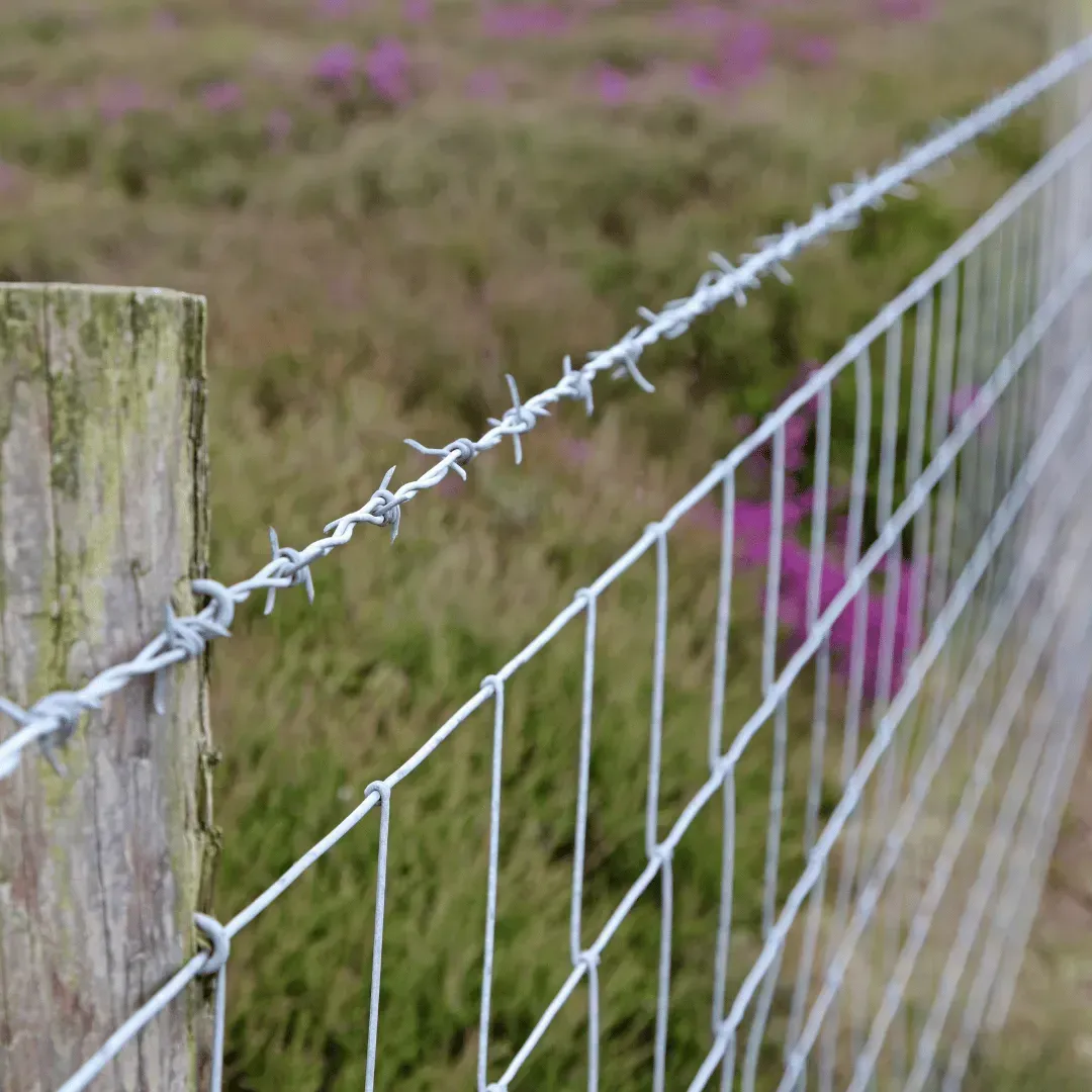 Woven wire fence, Brantford ON