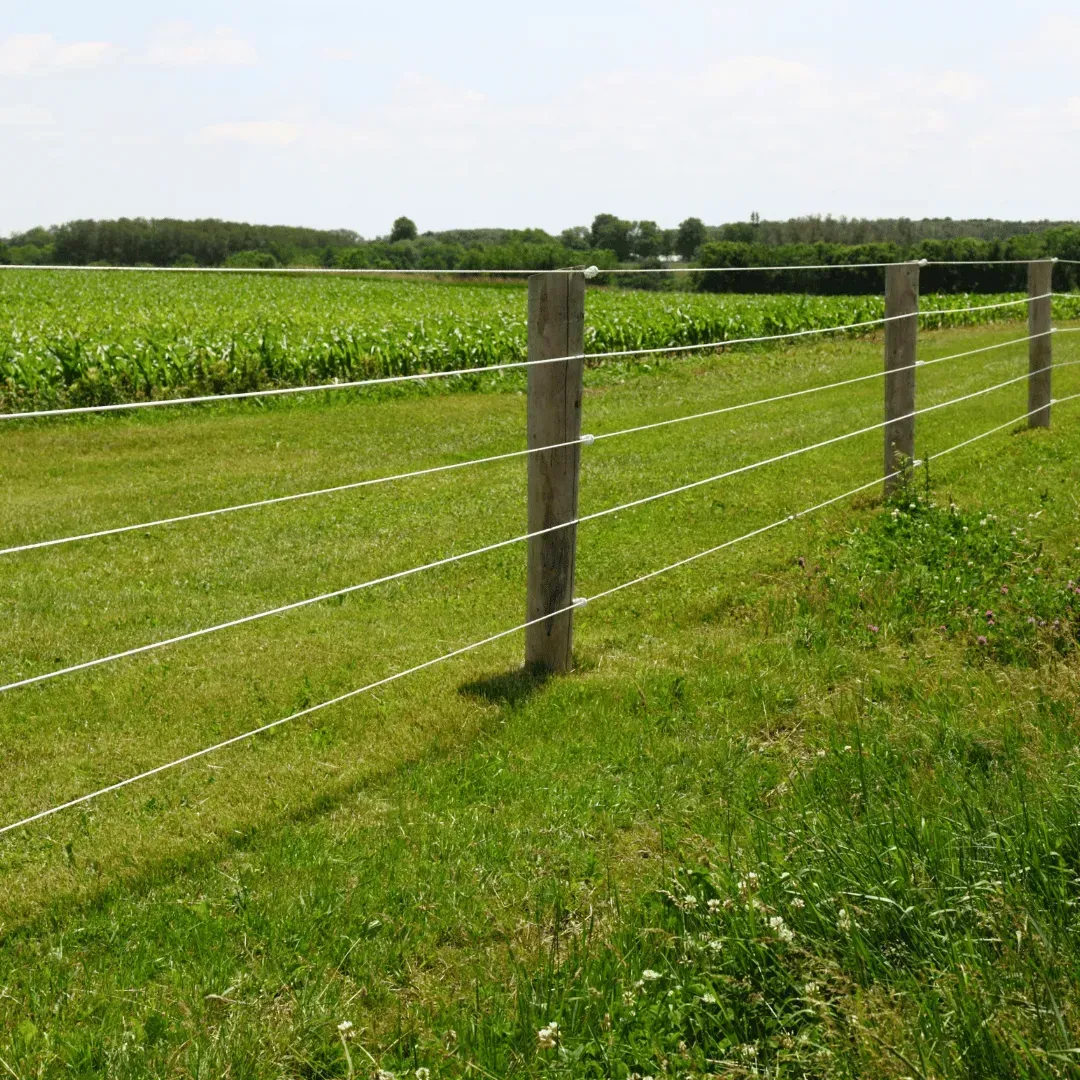 High tensile fences, Brantford ON