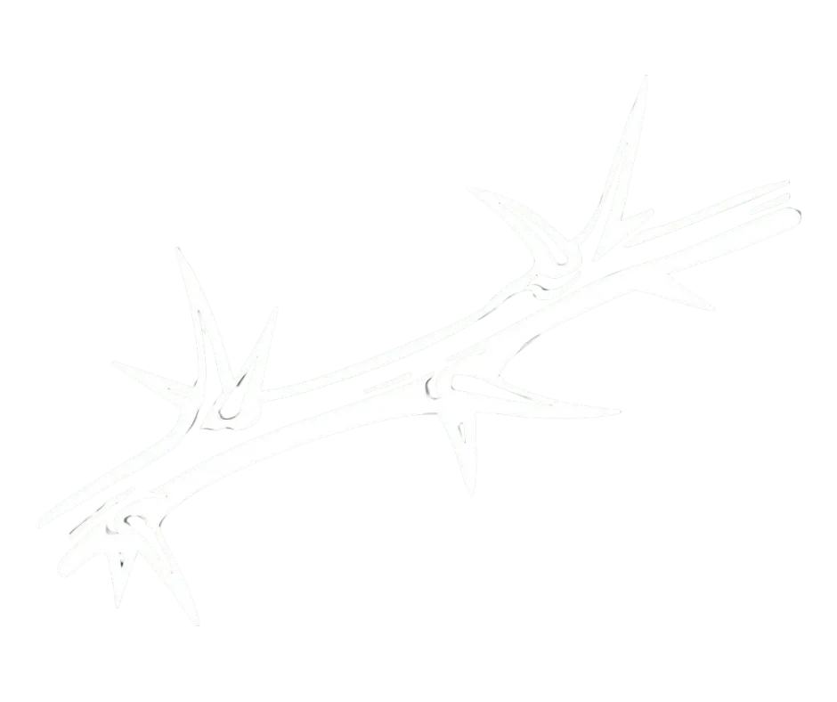 Professional forestry mulching and land clearing in Greenwood, MO and surrounding counties. Veteran-owned. Owner-operated. Get a free estimate today.