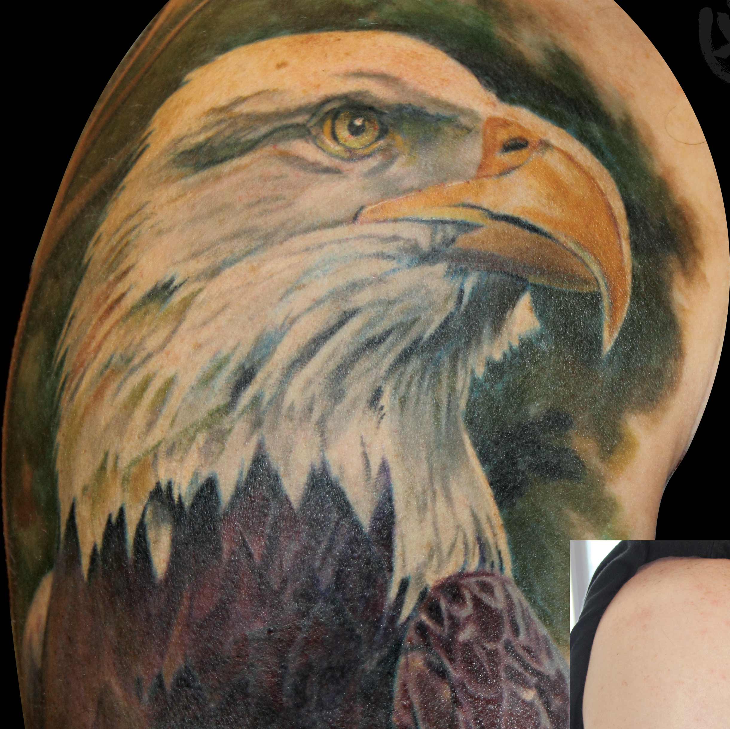 Bald Eagle Cover-Up
