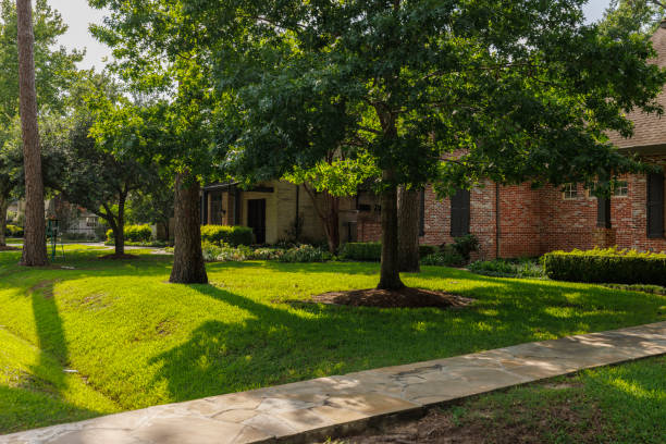 Home seller consultation in Lakeway