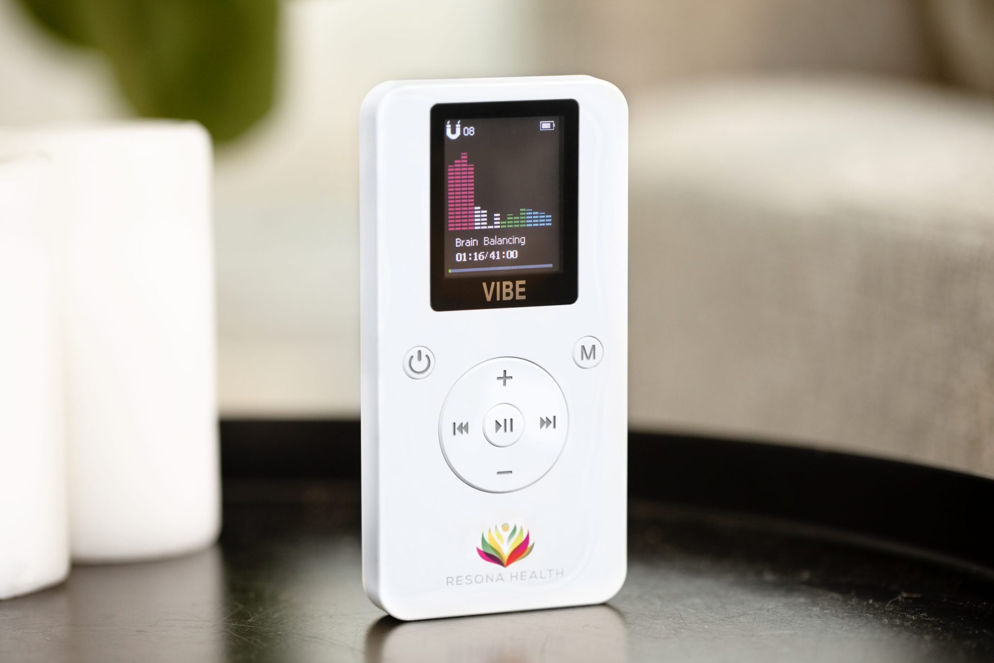 a small blue flower sitting on top of a lush green field