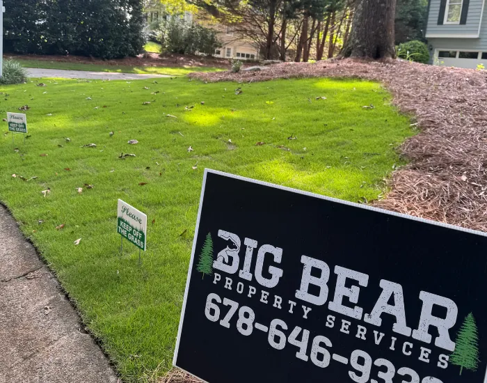 Landscape Design and Installation in Cumming