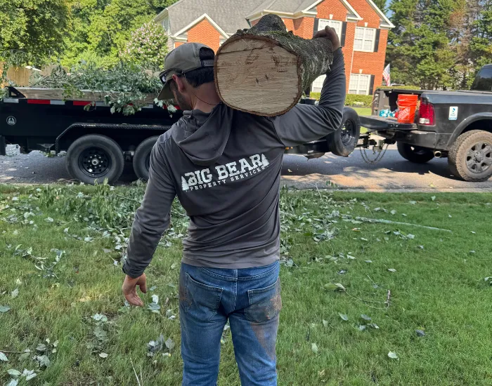 Roswell Tree Removal and Trimming