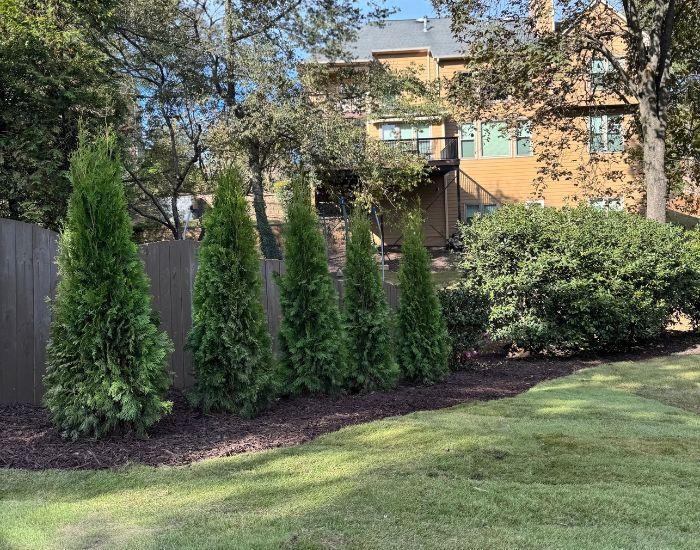 Alpharetta Landscape Design and Installation