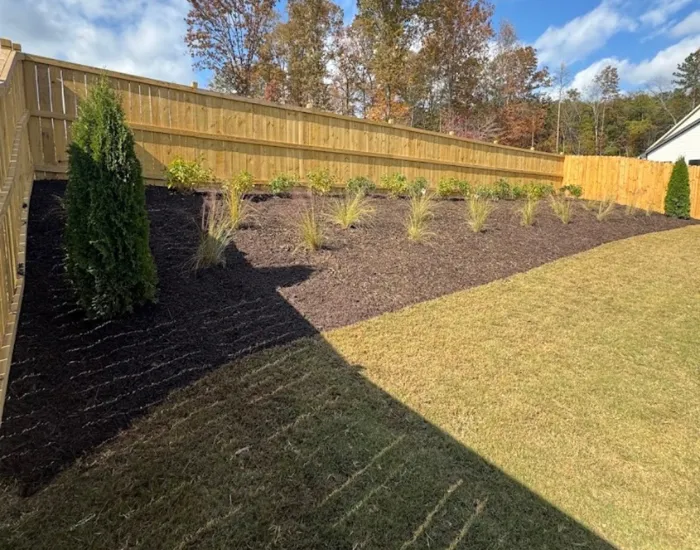 A white water lily in a pond of water