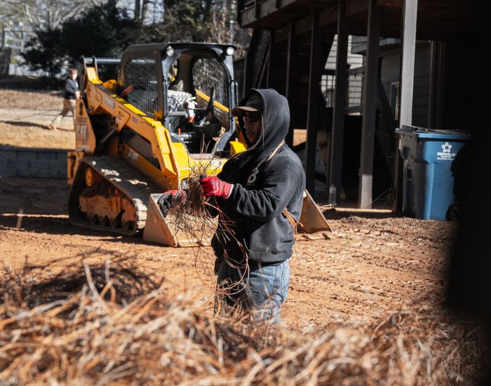 Alpharetta Landscape Lighting