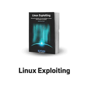 Libro de Linux Exploting