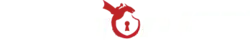 VIP Lead Concierge
