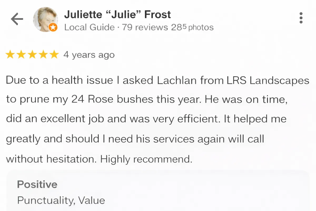 Yard Clean Up Service Ellenbrook