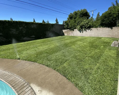 Cabell County, WV Sod Installation & Lawn Services