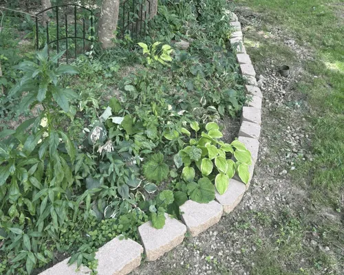 Sod Installation & Lawn Services Huntington, WV