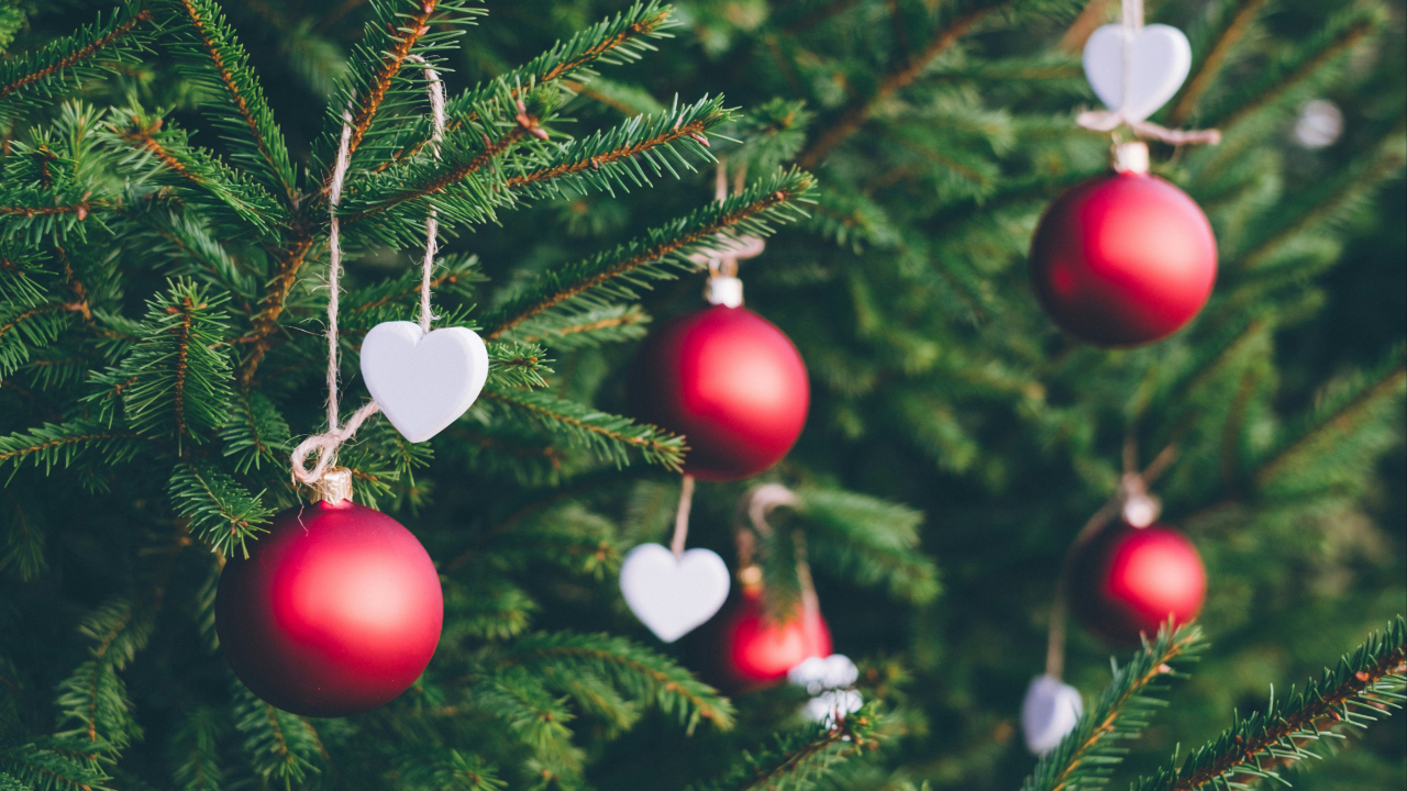 Holiday Cheer, Fear & Beer