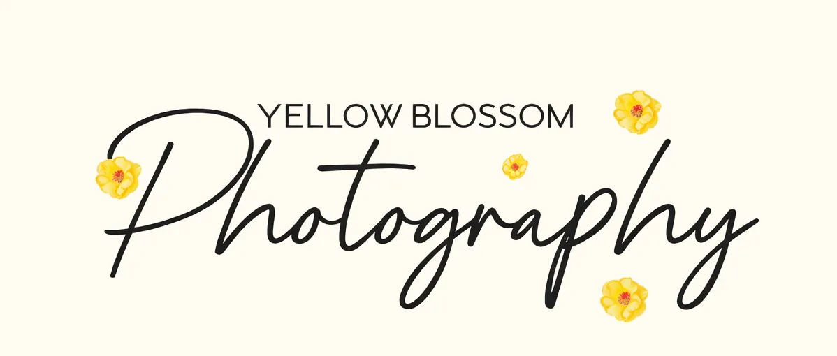 Yellow Blossom Photography Logo