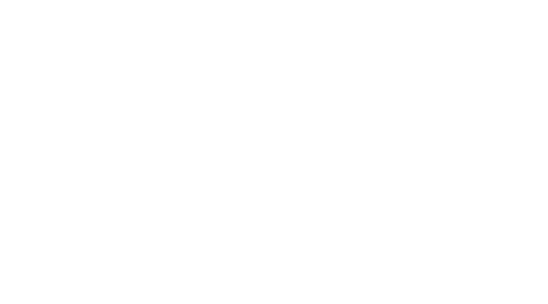 Drivix Digital Logo